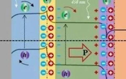 信阳师范大学孙书杰团队CEJ:构筑纳米网状型铁电异质结可实现优异光伏效应和非对称性转换特性